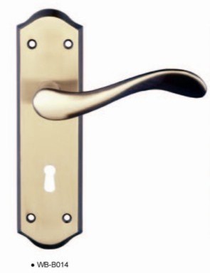 Lever handle on plate